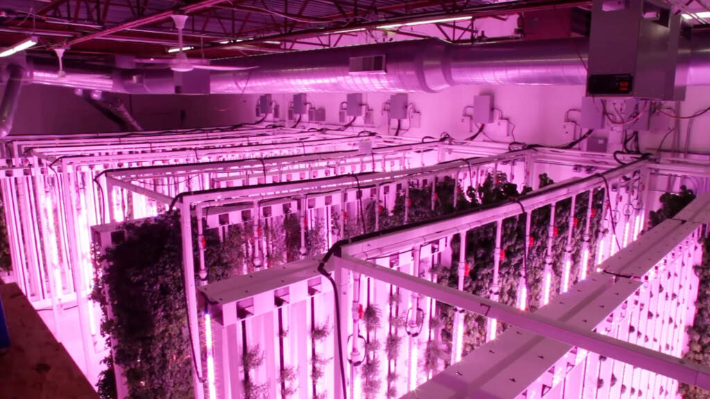 Year-Round Food Planning: How Indoor Growing Supports Emergency Resilience