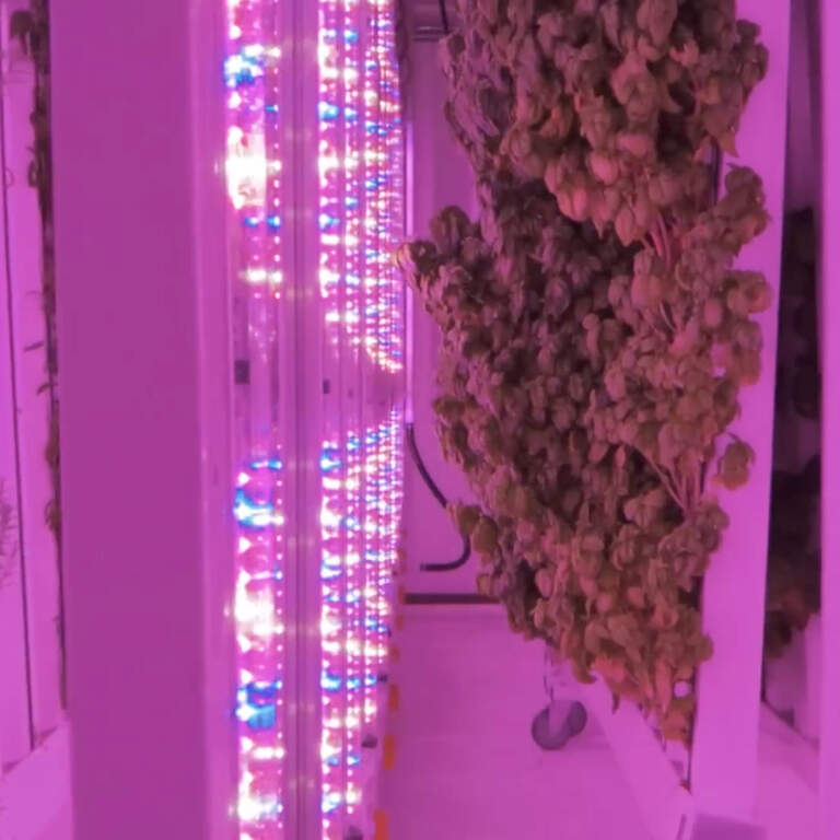 East Side Food Desert Conversations Center Resident-Led Solutions Poster