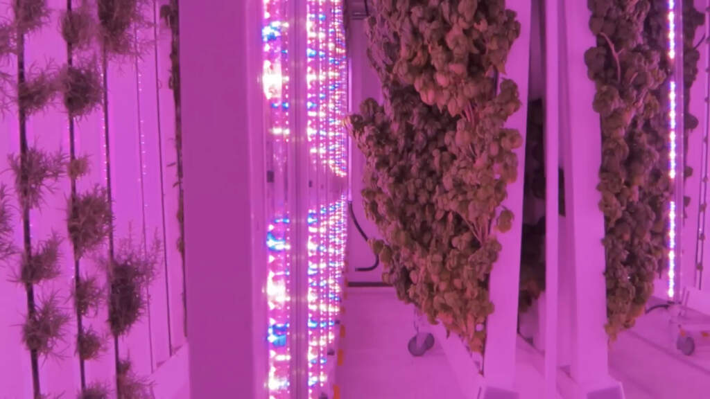 East Side Food Desert Conversations Center Resident-Led Solutions