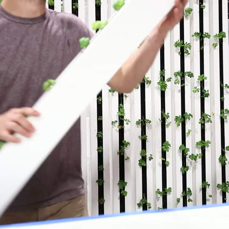 What Is Hydroponics? A Simple Explanation Poster